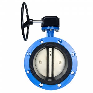 法蘭式蝸輪蝸桿蝶閥DN40，1.6Mpa（橡膠密封