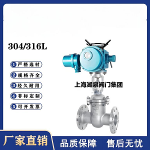 Z941W-16P，DN250，CF8/F304不銹鋼電動閘閥